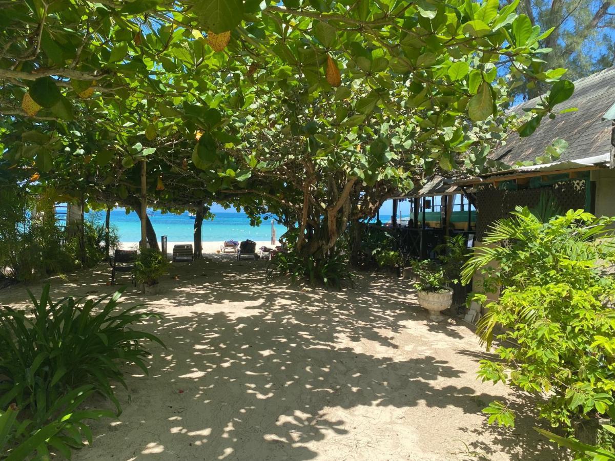 Secret Cabins At Firefly Beach Cottage Negril Luaran gambar